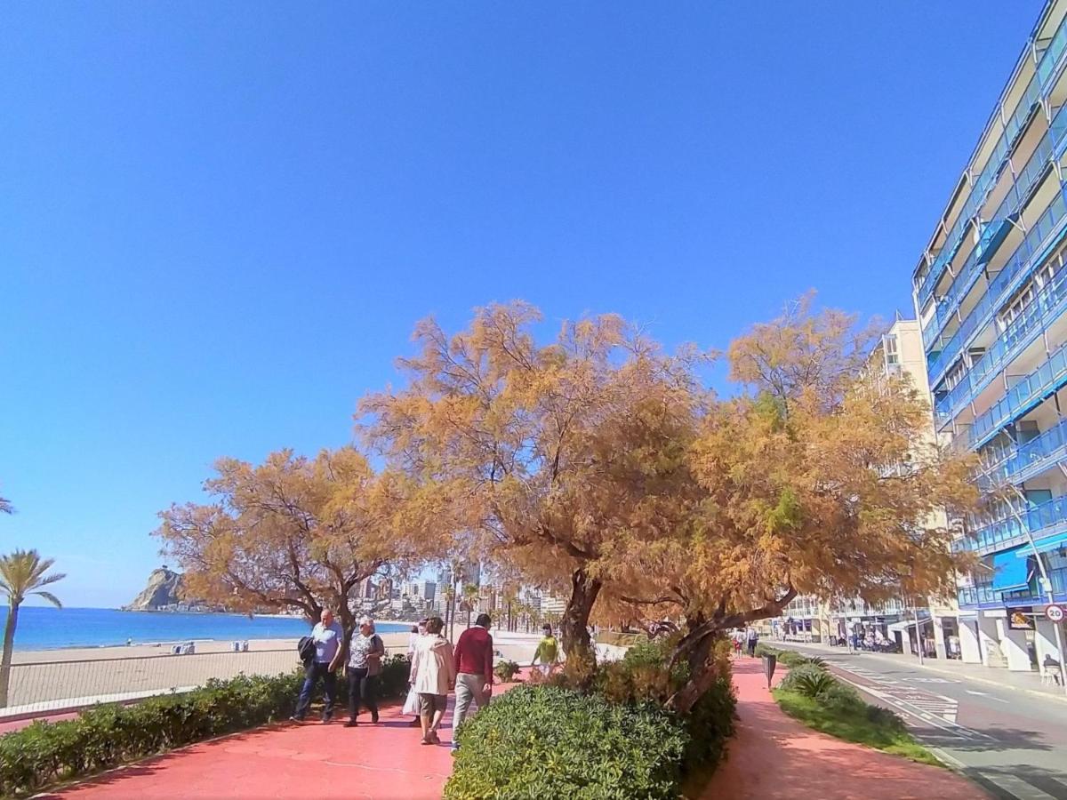 Velazquez Benidorm